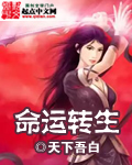 命运转职效果