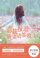 总裁报道,娇妻请签收