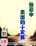 仙墓中走出的强者全集