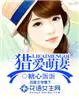 逃妻来袭小说免费阅读全文