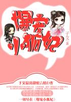 爆宠小萌妃动漫免费观看全集