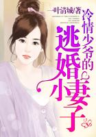 冷少的惹火小逃妻