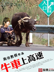 牛车上高速不能超多少吨
