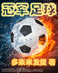 冠军足球经理cm0304完美中文硬盘版