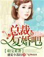 天将萌宝总裁爹地要复婚