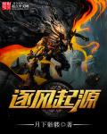 逐风飞翔主题曲