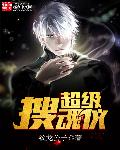 超级搜查令2008全集