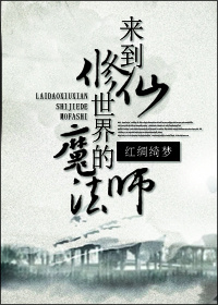 穿越到异界的魔法师