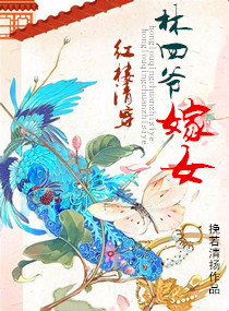 红楼清穿完结小说排行