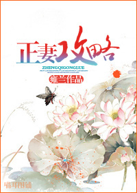 正妻打小三