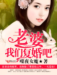 老婆我们复婚吧1
