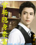 官场隐形富豪小说