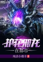 护花小神医林平唐芷柔