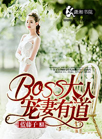 boss大人电视剧