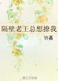 隔壁老王这个梗是什么意思