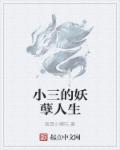妖孽人生第二部小说