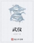 国电武仪