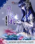 蓝月至尊电脑版