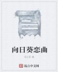 向日葵的图片
