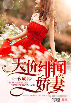 小说天价绯闻妻的结局