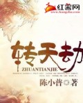 转天劫陈小普全文免费阅读