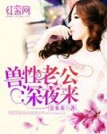 邪性老公太霸道免费阅读全文
