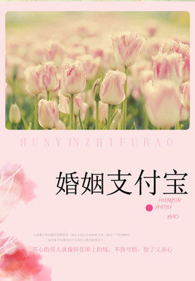 名门暖婚 小说