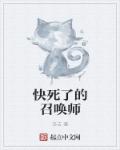 快死了的召唤师