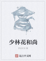 少林花和尚小说