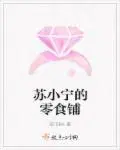 苏小宁的空间田园