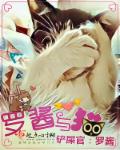 裸将于京