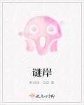 谜岸