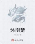 沐南希楚焱辞