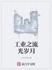 工业之流光岁月小说