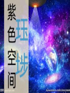 紫色星空北京网络科技有限公司