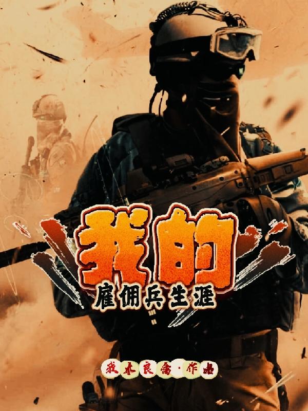 我当雇佣兵的日子16
