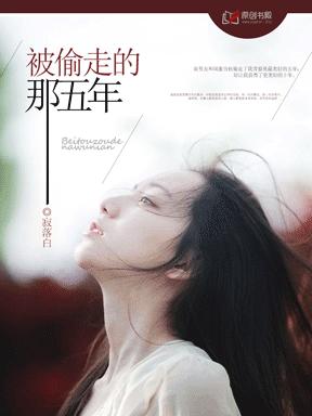 被偷走的那五年张医师