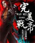 完美打击战