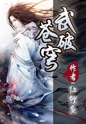 武破苍穹 小说