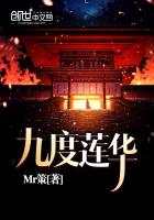 九度数码科技