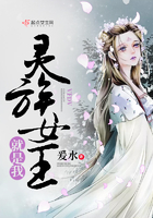 灵族女王鸾落的小说