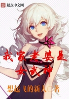 我的老婆是女武神免费