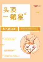 头顶最亮的一颗星叫什么名字