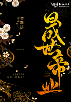 晟凯壁挂炉