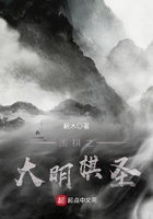 围棋之大明棋圣小说