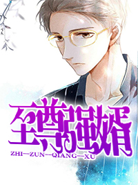 至尊强婿全部内容