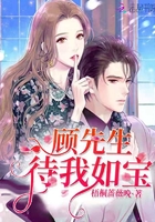 顾先生待我如宝大结局