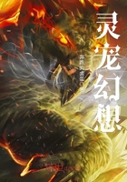 灵兽幻想手游