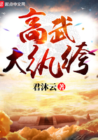 高武赘婿小说