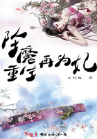 坠魔重生再为妃